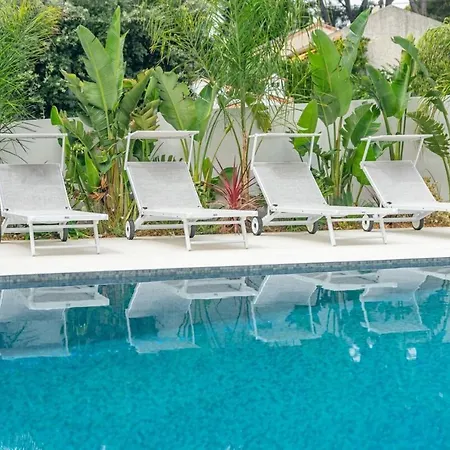 Giovannina N5 Cassis